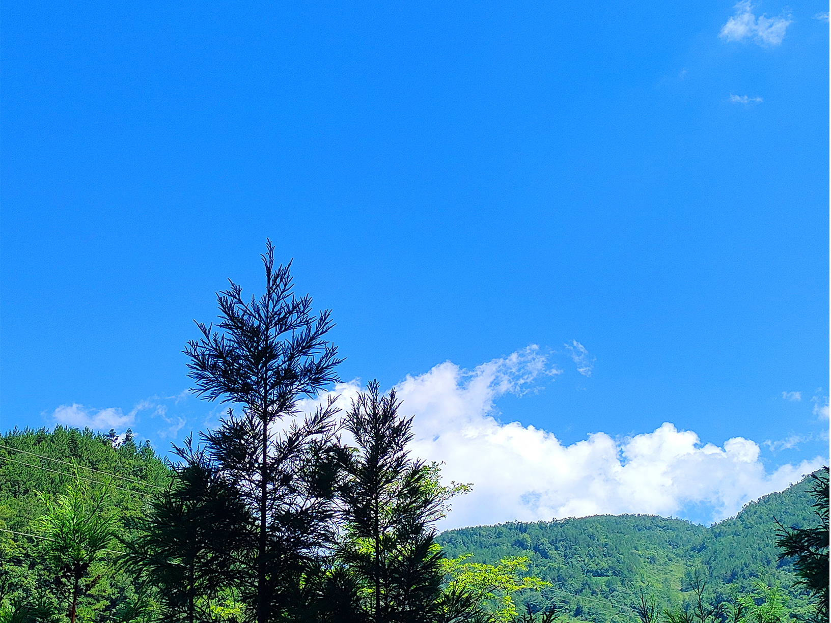 可以切面条的扫皮机